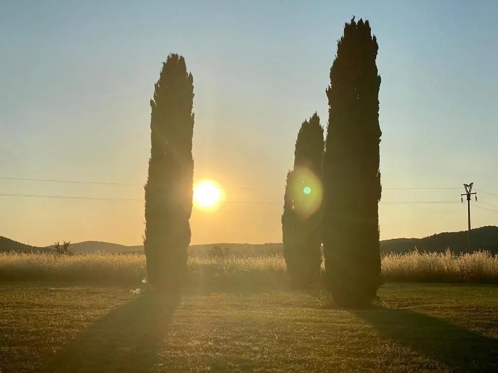 Bed and Breakfast Casale Artemisia Capalbio 0*,